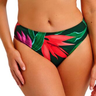 Fantasie Swim PICHOLA Mangrove bikini rioslip