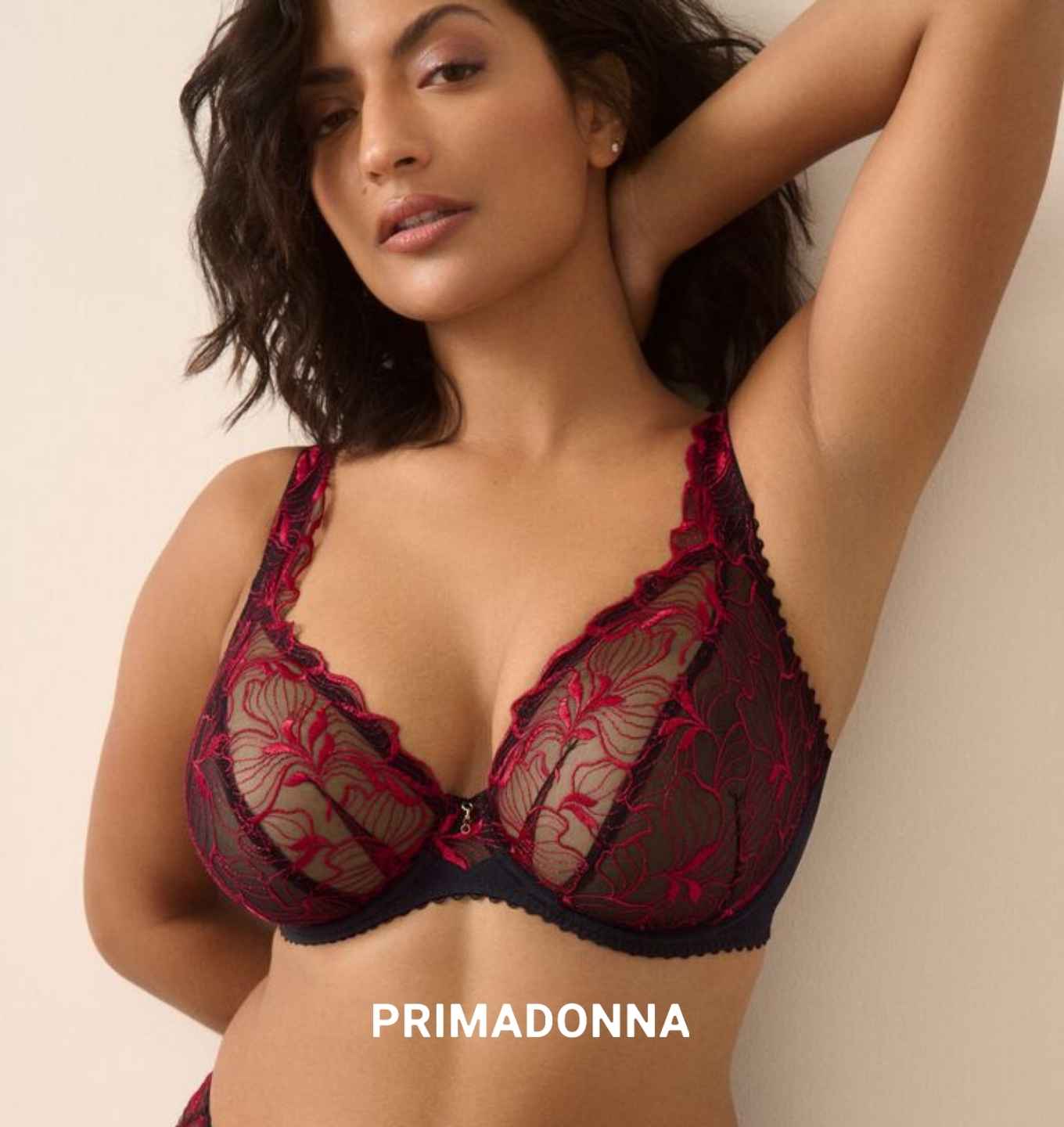 PrimaDonna SPRINGDALE bh in Black Rose